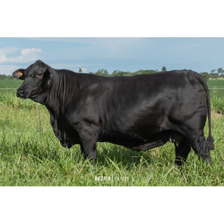 Anamélia FIV 180L