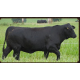 ANAMELIA FIV Q094