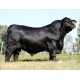 Anamélia FIV 180L