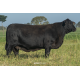Anamélia FIV 180L